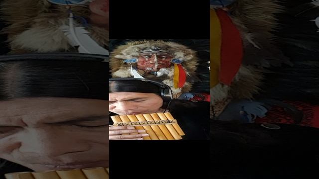 WHITE BUFFALO - Cover.