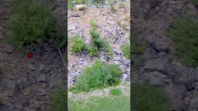 Учу стрельбе по уткам за 50 метров в Спортинг клубе Парк отеле Цитадель смотреть онлайн