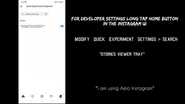 Developer Settings | Instander | Aero Instagram | Insta Pro | Part 2