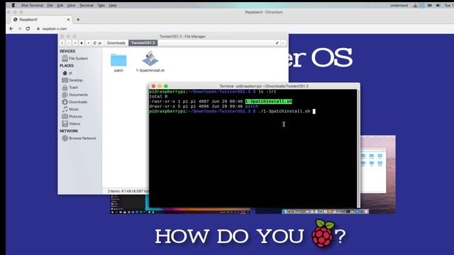 Raspberry Pi 4: Twister OS v1.3 Patch Installation смотреть онлайн