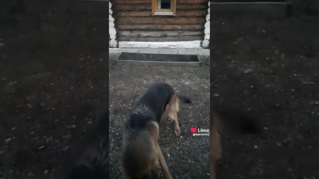 выходные смотреть онлайн