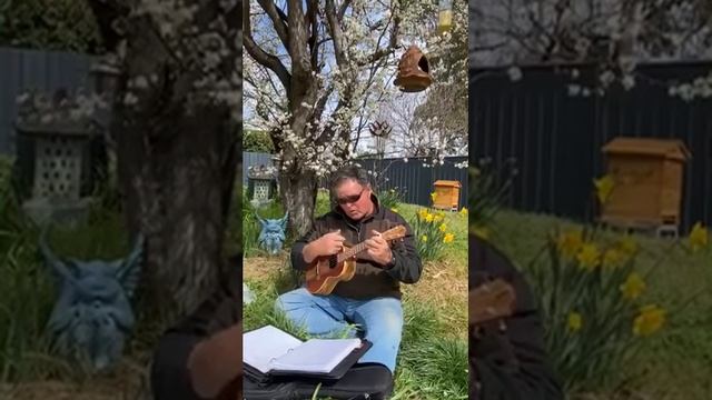 Lonesome Whistle: ukulele. Garry Mac an Tanaiste смотреть онлайн