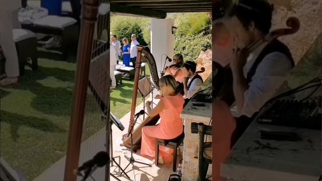 Harp & Strings Trio "Video Games" смотреть онлайн