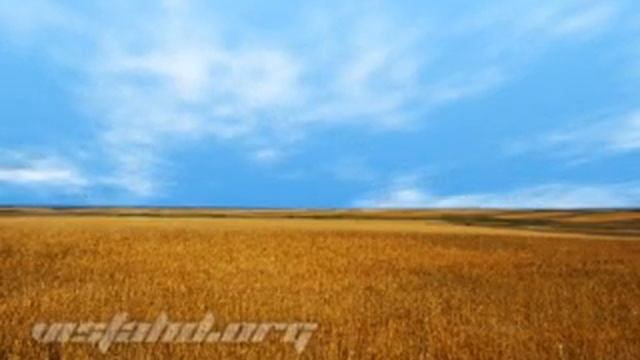 longhorn bliss смотреть онлайн
