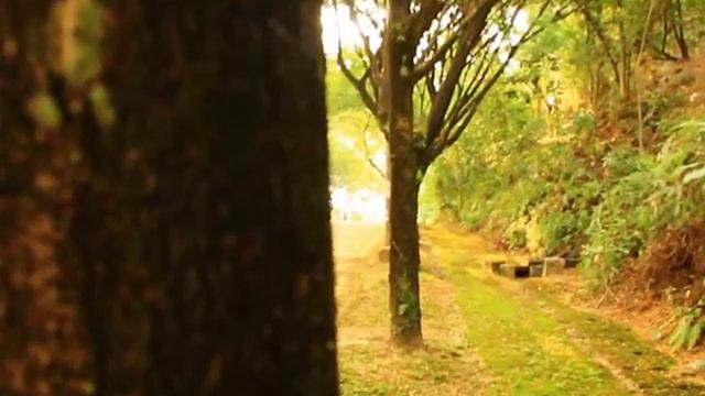 Adobe Premiere Pro CS6 video test смотреть онлайн