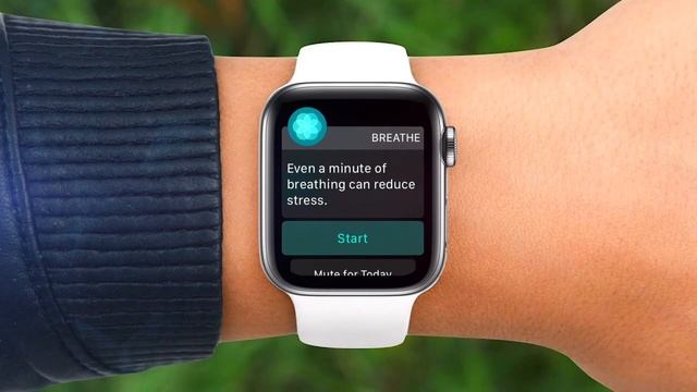 8 Reasons Why You NEED an Apple Watch in 2024! смотреть онлайн
