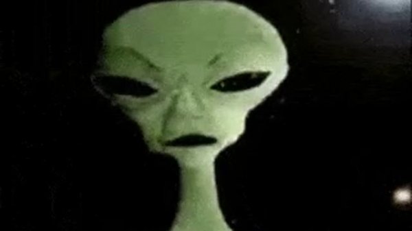 Зиб Зиб зиб