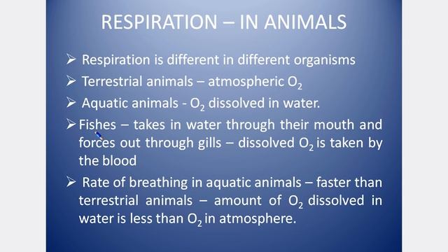CLASS 10 CBSE SCIENCE CHAPTER 6 LIFE PROCESSES BRIEF EXPLANATION IN TAMIL - PART 2 смотреть онлайн