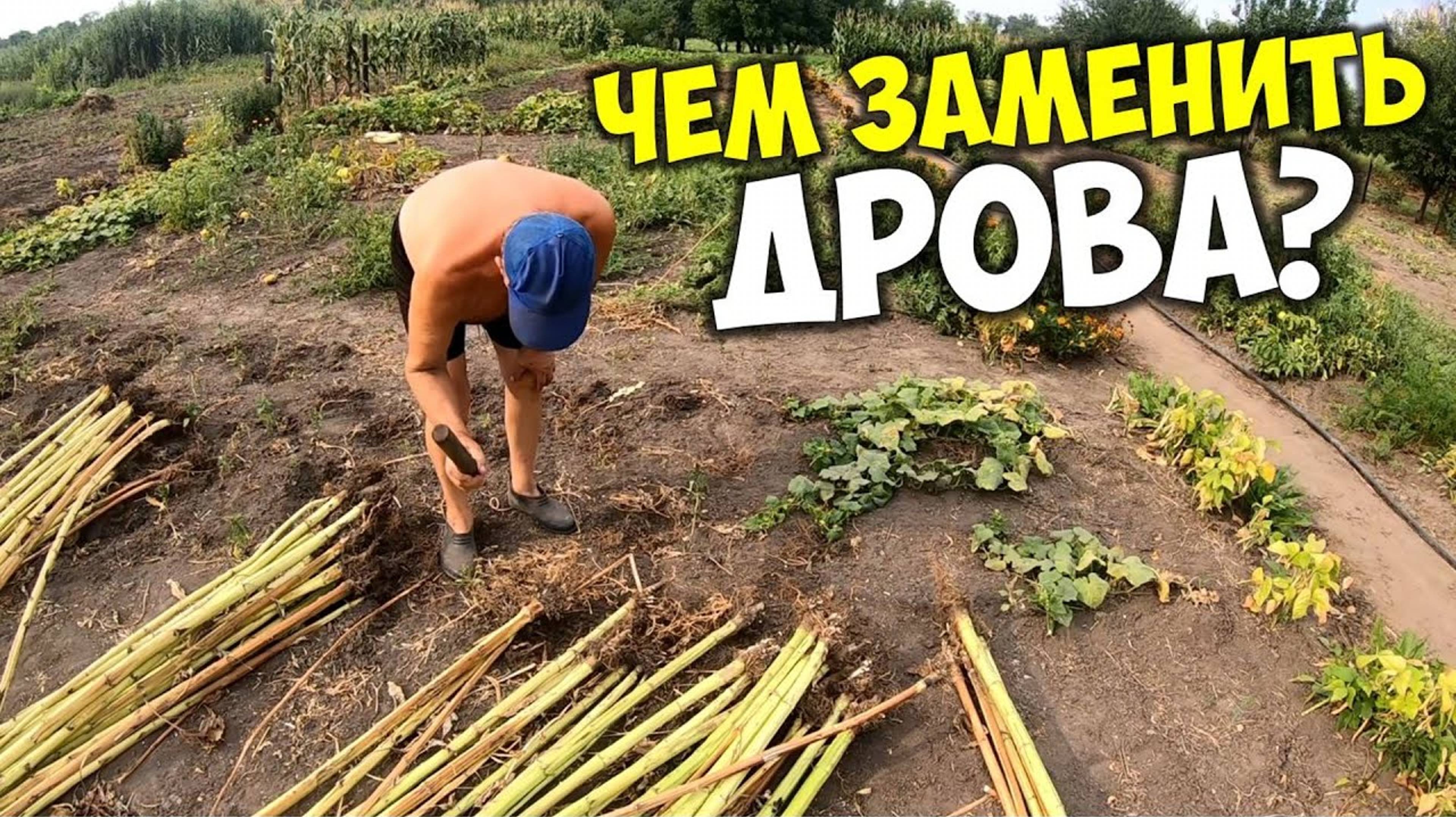 Чем заменить дрова для печки бесплатно. Дрова с вашего огорода помогут растопить печь смотреть онлайн