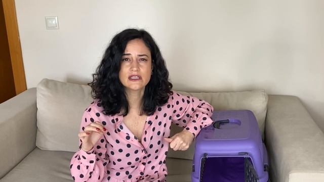 Kedimizi taşıma çantasına kolayca nasıl sokabiliriz? Eğer kediniz girmiyorsa mutlaka seyredin! смотреть онлайн