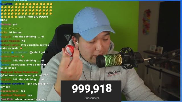 Stream Ends When I Hit 1 Million Subs смотреть онлайн