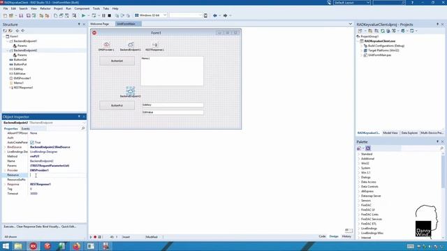 RAD Server Creating a Delphi client смотреть онлайн