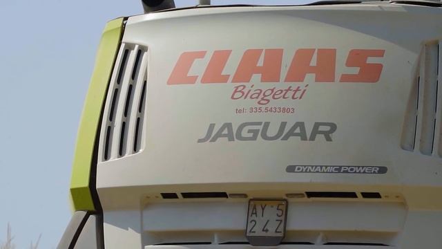 Trinciatura mais 2021 con Claas Jaguar 960 e 850 | 2021 corn silage | Biagetti смотреть онлайн