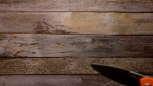 Adimanti Neformat. Обзор ⚡⚡⚡