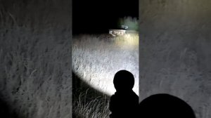 Sofirn sp70 , ночной тест