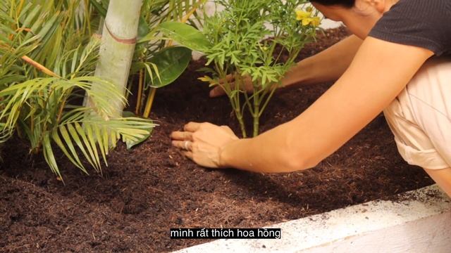 Cuộc Sống Của Gia Đình Ở Thành Thị - Nấu Nướng, Làm Vườn, Trồng Cây, Sinh Nhật Con Gái 4 Tuổi смотреть онлайн
