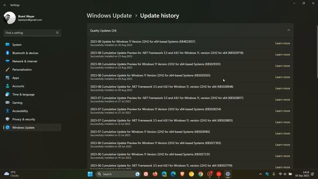Should you install Windows Updates as soon as they are available? смотреть онлайн