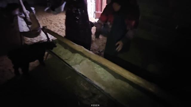 Rainy Day In The Village  🌬 🌧 John Bibi's Family Plays Group Games On A #rainyday