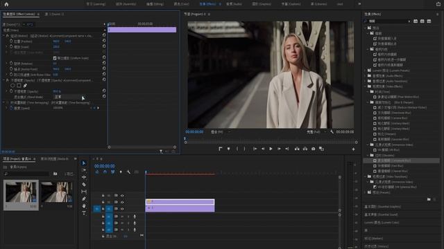 Premiere Pro 模糊效果也可以輕易做到磨皮 比PhotoShop還好用的磨皮技巧 ！｜ Premiere一分鐘小教室