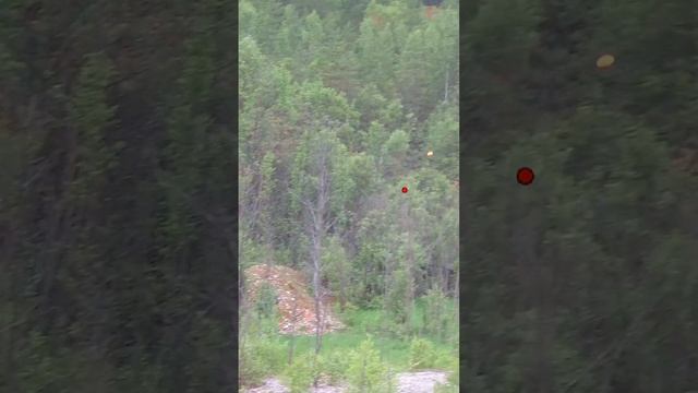 Учу стрельбе по летящему гусю за 50 метров в Спортинг клубе Парк отеле Цитадель Тула смотреть онлайн