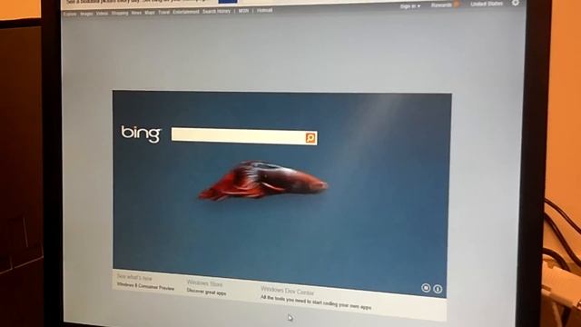 Windows 8 Bing Beta Fish Seizure. смотреть онлайн
