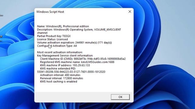 How to Check Your Windows 11 is Genuine or Pirated or Cracked смотреть онлайн