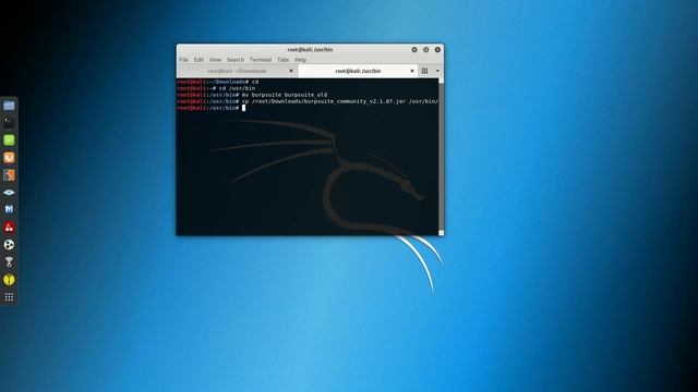 How to update Burpsuite in Kali Linux смотреть онлайн