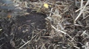 138 Установка кротоловки СКАТ 62