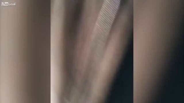 LiveLeak!!! Kid shooting the street out of his window and posting it on Insta смотреть онлайн
