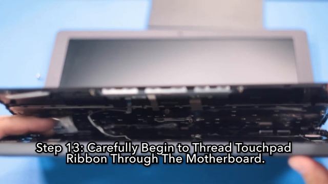 ASUS Chromebook C204EE Palm Rest Replacement смотреть онлайн