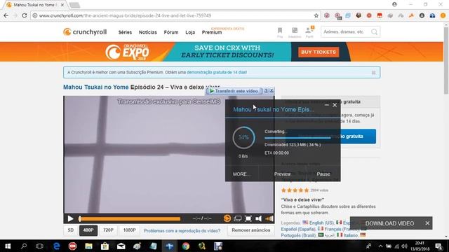 How To Download VIDEOS And SUBTITLES From Crunchyroll (2018)