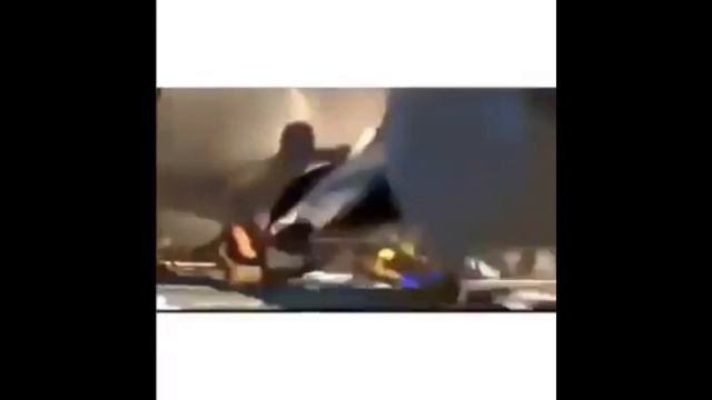 Finding Nemo REMIX - Windows Startup смотреть онлайн