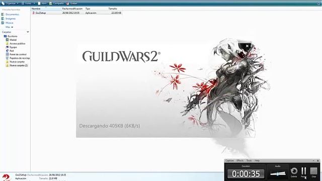 Error en la instalación de Guild Wars 2.mp4 смотреть онлайн