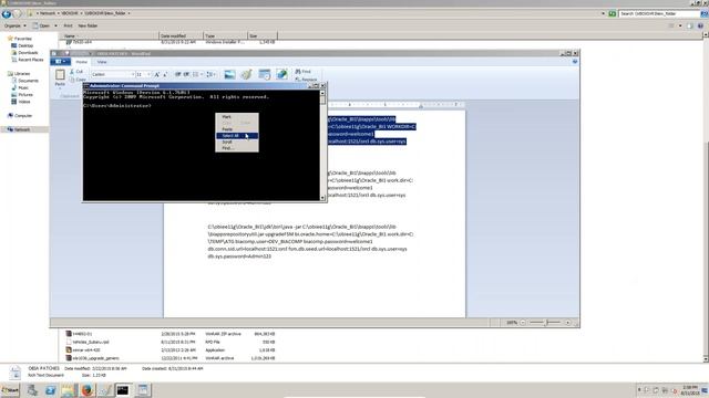 OBIA 11.1.1.8.1 Training : Upgrade ATG LITE Patch Part 11 смотреть онлайн