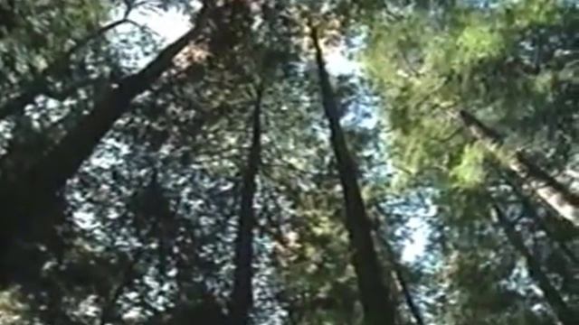 Keystone Wilderness (Part 1) смотреть онлайн