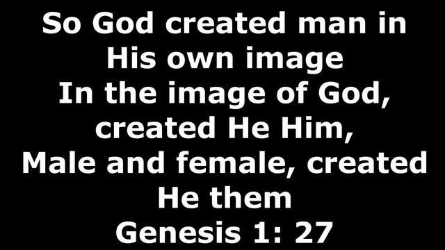 Genesis 1:27 Lyric Video смотреть онлайн