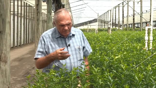 SOIL FUTURES INITIATIVE: American Farmer TV Profiles Pathway Biologic смотреть онлайн