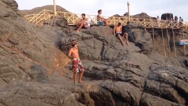 Boca Leon Harlem Shake 2 смотреть онлайн