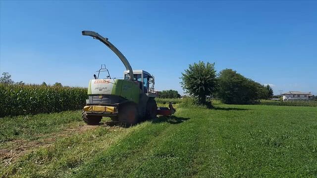 INSILATO 2016 con Class Jaguar 850 Fendt 820 e 312 (Controterzista Terraran) смотреть онлайн