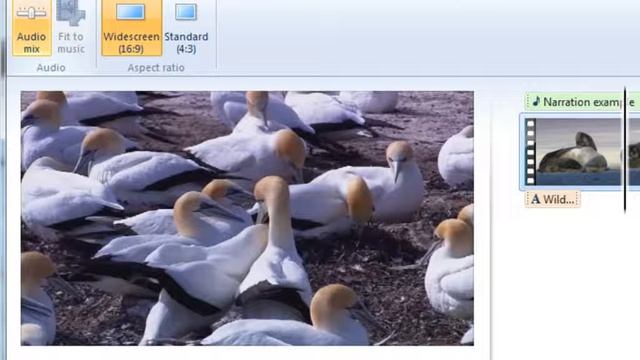 Sample lesson from "Windows Live Movie Maker - Video Editing Made Easy" смотреть онлайн