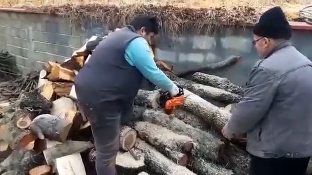 Budama motoru,BUDAMA TESTERESİ,PRUNİNG ENGINE GASOLINE смотреть онлайн