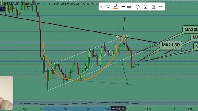 Биткоин прогноз на 24.08.22 смотреть онлайн