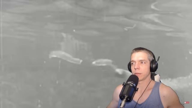 Navy Vet Reacts to Olympic Sniper Turned Battleship Commander - Willis Ching Lee by Fat Electrician смотреть онлайн