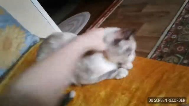 Так выглядит 1 монтаж 😂😂😂 смотреть онлайн