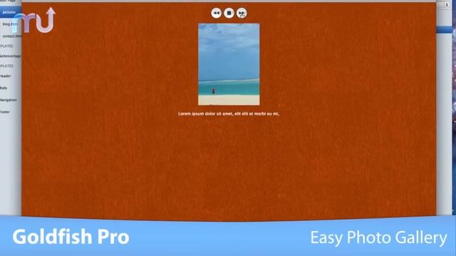 Goldfish Pro Screencast - MacUpdate Promo смотреть онлайн