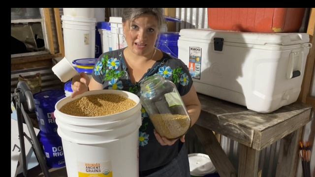 Apple Pie with 100% Freshly Milled Wheat | Thanksgiving Recipes | Apple Recipes смотреть онлайн