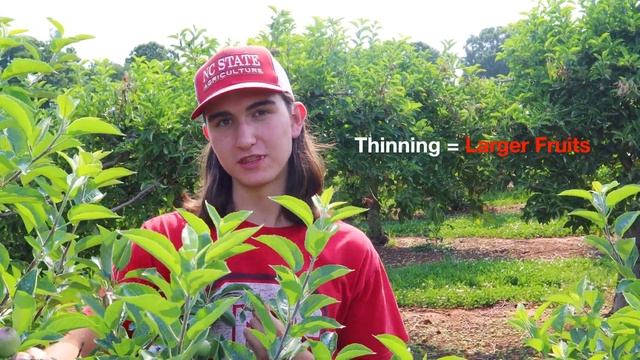 Apple Production at Carrigan Farms with William смотреть онлайн