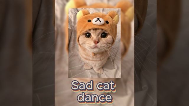 Sad Cat Dance