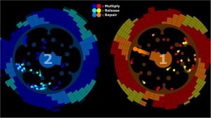 Core Destruction 10 - Marble Race in Algodoo