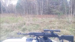 САЙГА 308 исполнения 100 и другие пострелушки ....